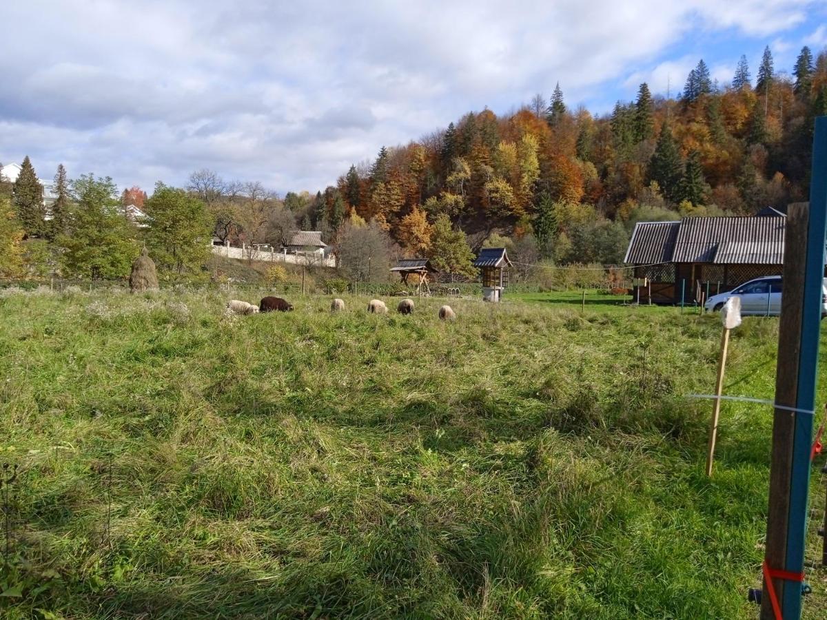 Садиба Федорчуків Гірська Хатина Scheschory Exterior foto